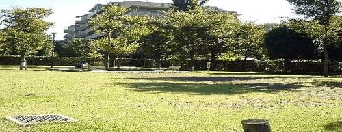 公園　高井戸藤が丘公園（公園）まで243m