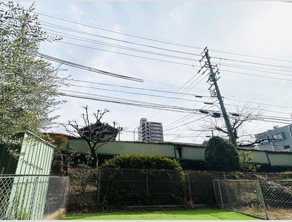 庭