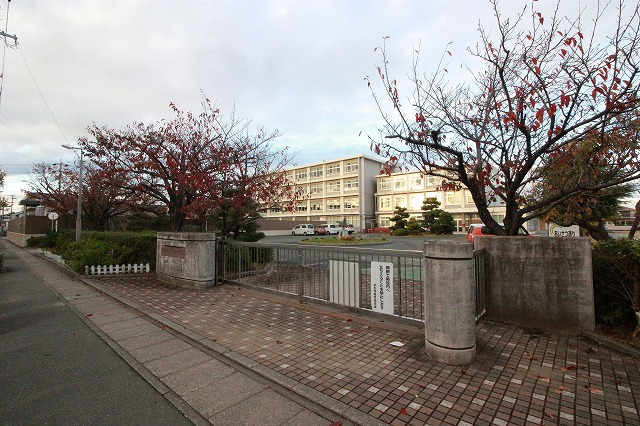 小学校　浜松市立葵が丘小学校（小学校）まで382m