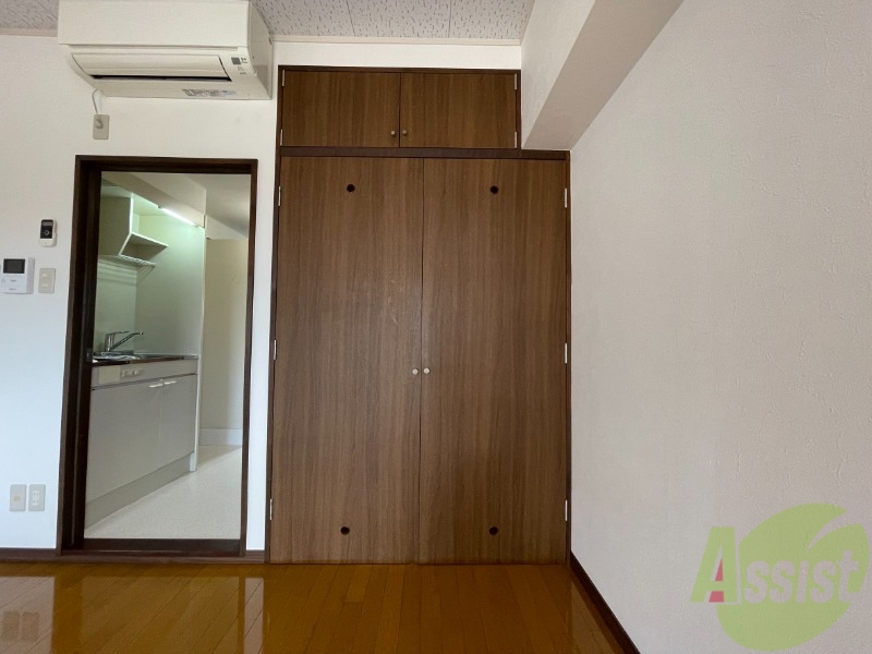 収納　クローゼットになります。大きいので中が気になります。