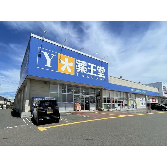 ドラックストア　薬王堂宮城大富店（ドラッグストア）まで790m