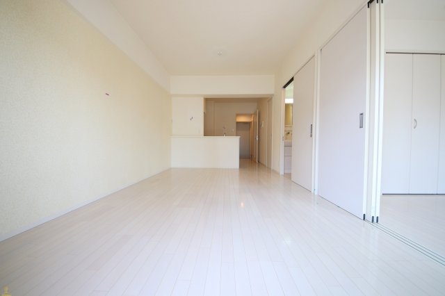 居室・リビング　リンデンプラザ心斎橋