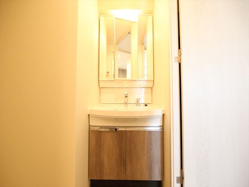 洗面設備　脱衣所　独立洗面台（シャンプードレッサー付）収納スペース有