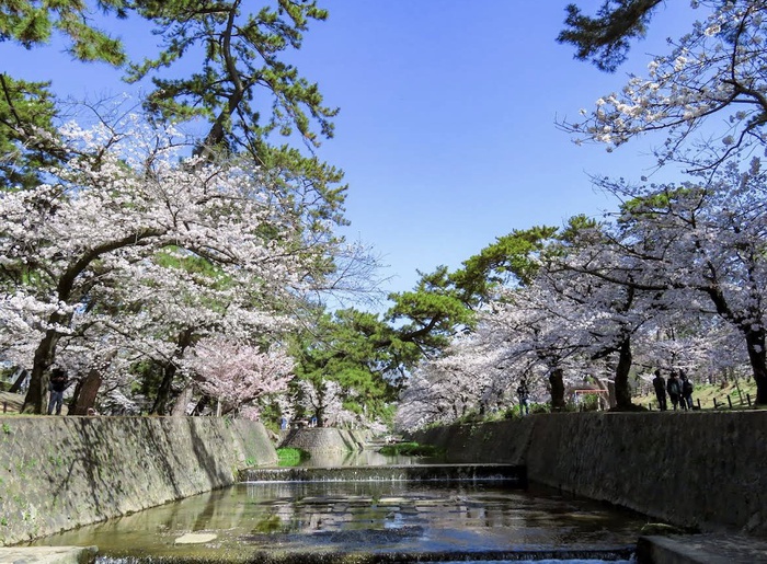 公園　夙川河川敷緑地(夙川公園)（公園）まで749m