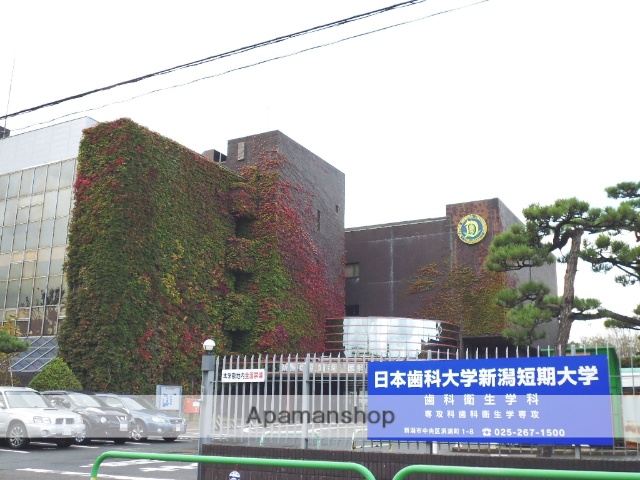大学・短大　日本歯科大学（大学・短大）まで1091m