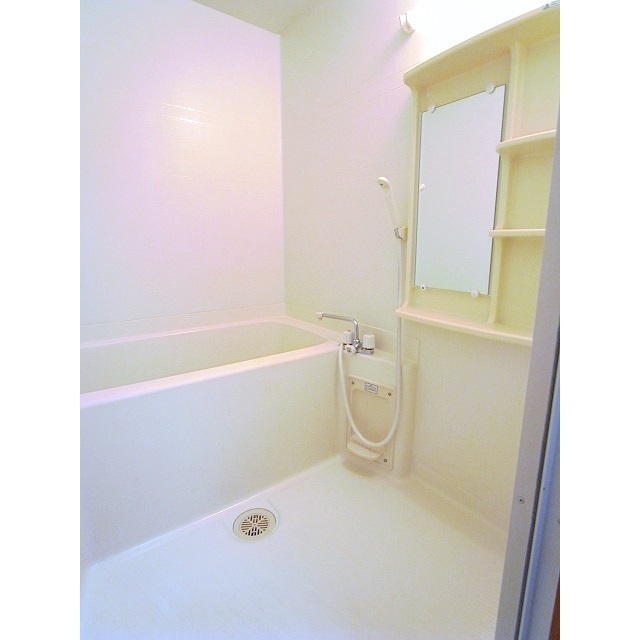 バス・シャワールーム　同間取り２０５号室の写真