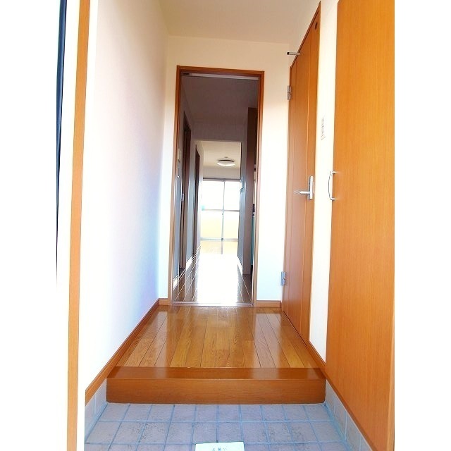 玄関　同間取り２０５号室の写真