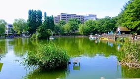 公園　見次公園（公園）まで369m