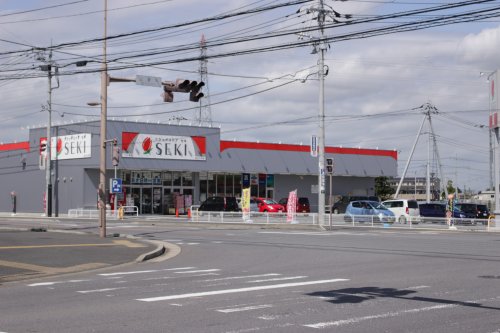 ドラックストア　ドラッグストアセキみどりの店（ドラッグストア）まで263m