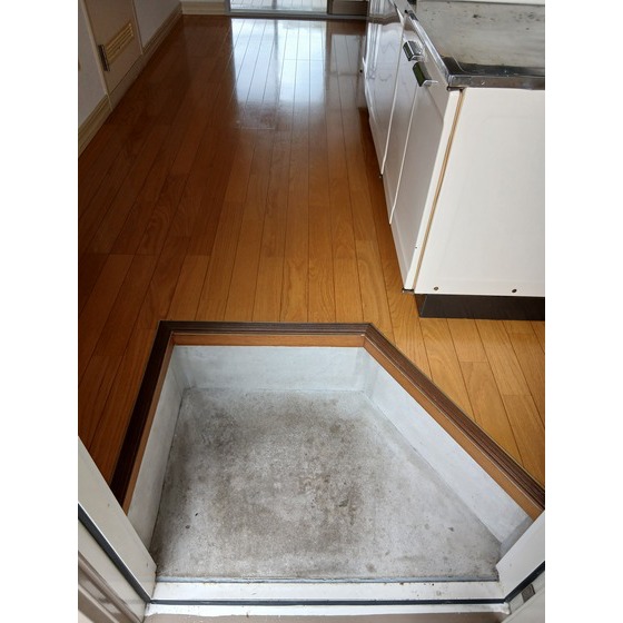 玄関　床面新品！