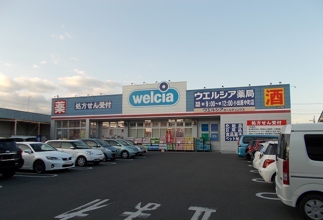 その他　ウエルシア中町店まで550m