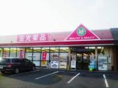 ドラックストア　金光薬品岡山山崎店（ドラッグストア）まで1151m