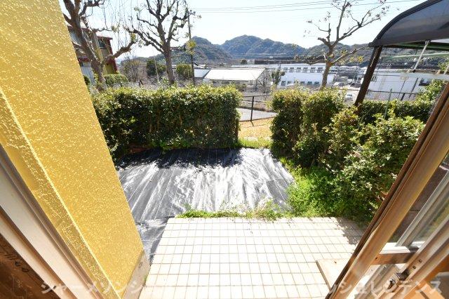 庭