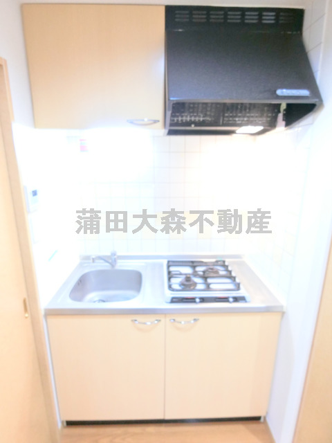 キッチン　2口ガスシステムキッチン