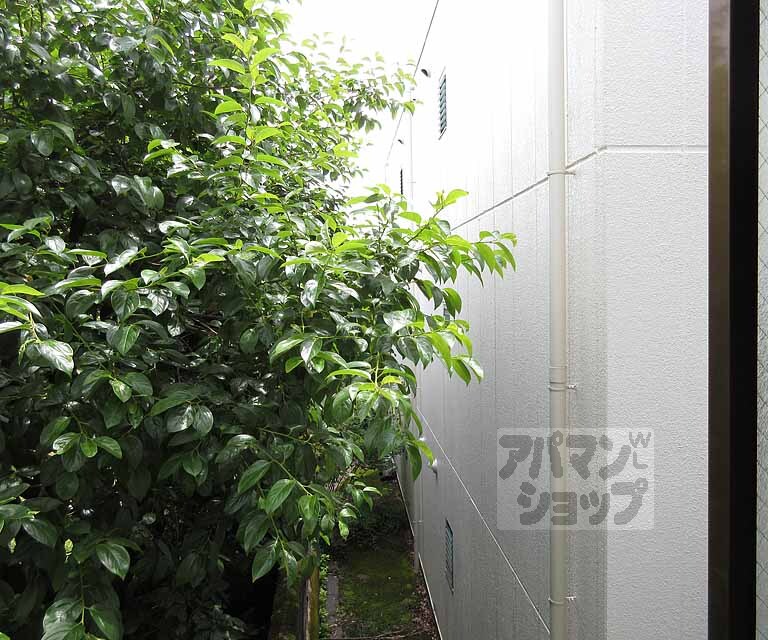 眺望　窓の外の風景です！