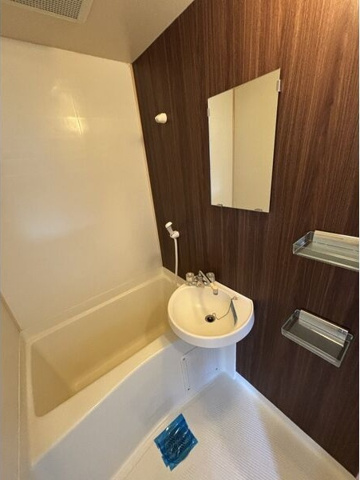 バス・シャワールーム　※写真は同じマンションの違う部屋のものになります。