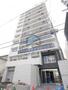 建物外観　築浅分譲クラスのマンションです。