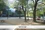 公園　新町北公園（公園）まで50m