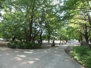 公園　板橋区平和公園（公園）まで400m