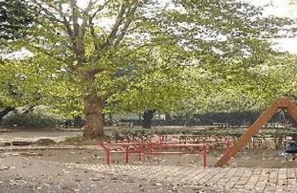 公園　馬橋公園（公園）まで800m