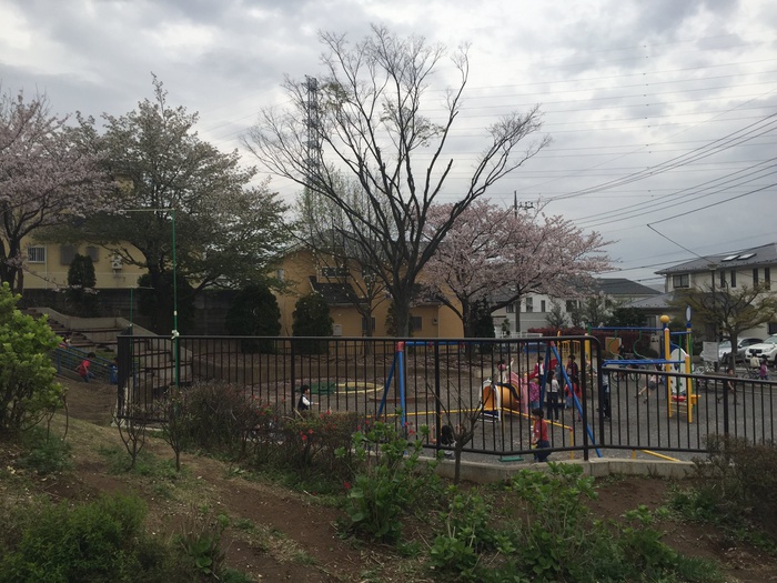 公園　高山あかしあ公園（公園）まで191m
