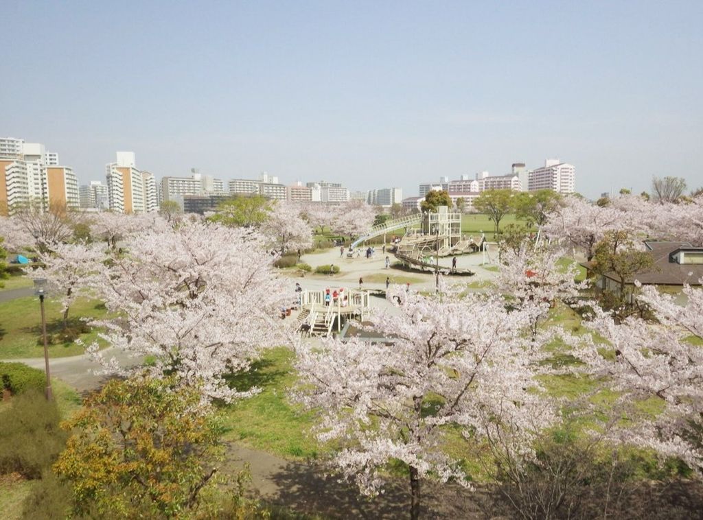 公園　小松川緑地（公園）まで800m