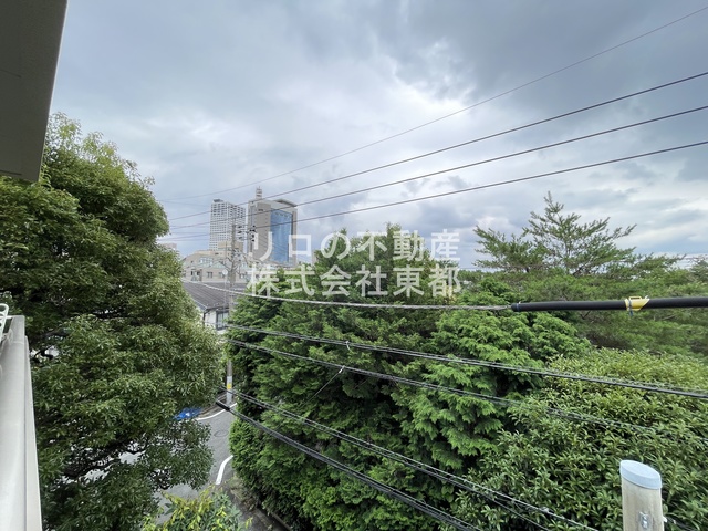 眺望　お部屋前には緑があるので、心癒されますね☆