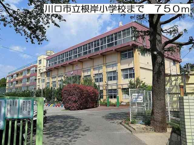 小学校　川口市立根岸小学校（小学校）まで750m