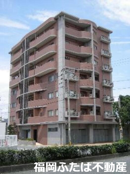ハイライズ ミチホ