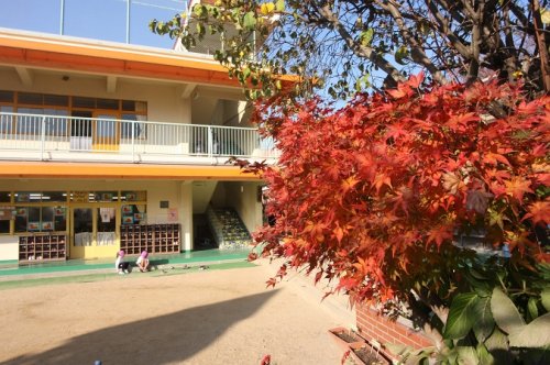 幼稚園・保育園　保育所ひかり学園（幼稚園・保育園）まで558m