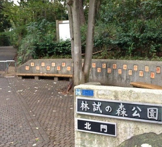 公園　都立林試の森公園北門（公園）まで898m