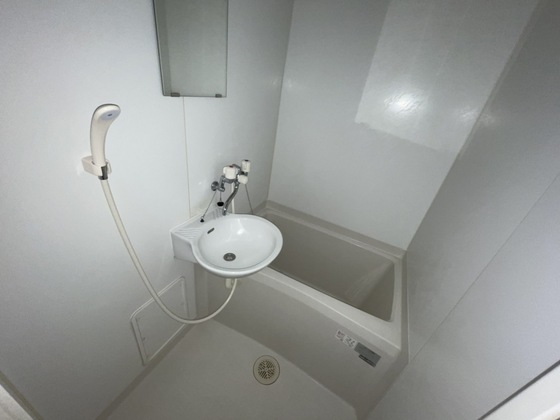 バス・シャワールーム　※別部屋の写真です