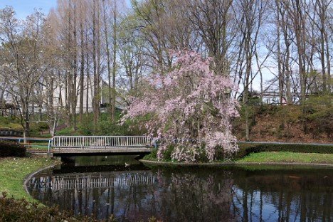 公園　金山町緑地（公園）まで1544m