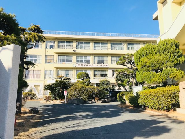 小学校　岡山市立石井小学校（小学校）まで600m