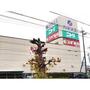 ドラックストア　スギ薬局碧南幸店（ドラッグストア）まで459m