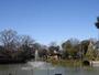 公園　碑文谷公園（公園）まで905m