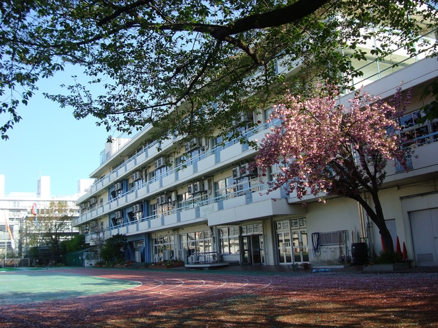 小学校　港区立青南小学校（小学校）まで389m