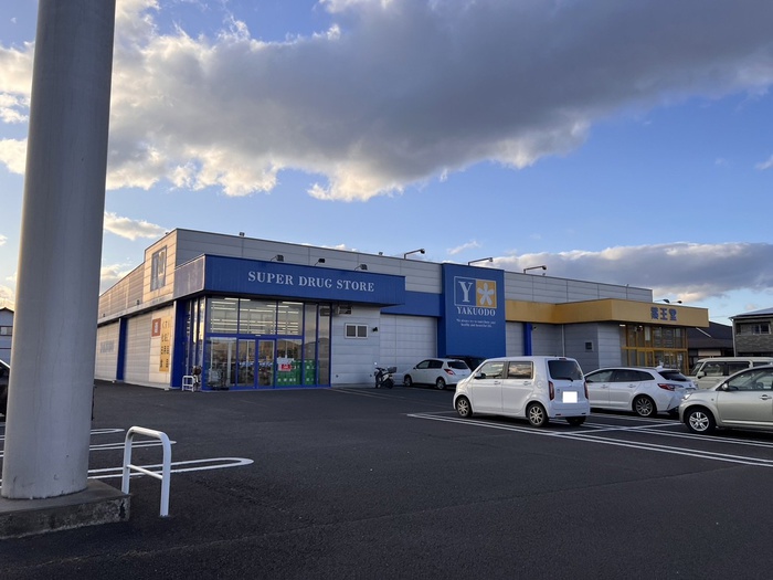 ドラックストア　薬王堂 宮城亘理店（ドラッグストア）まで700m