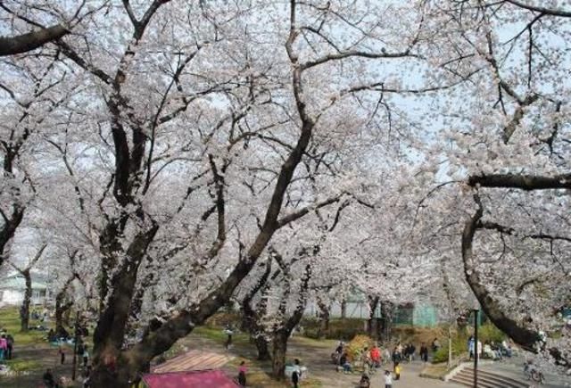 公園　★★幸ケ谷公園（公園）まで592m