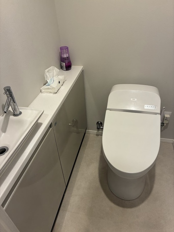 ザ・タワー横浜北仲のトイレ写真