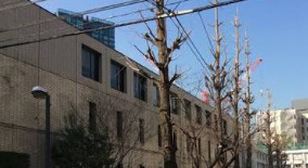 小学校　港区立赤羽小学校（小学校）まで593m