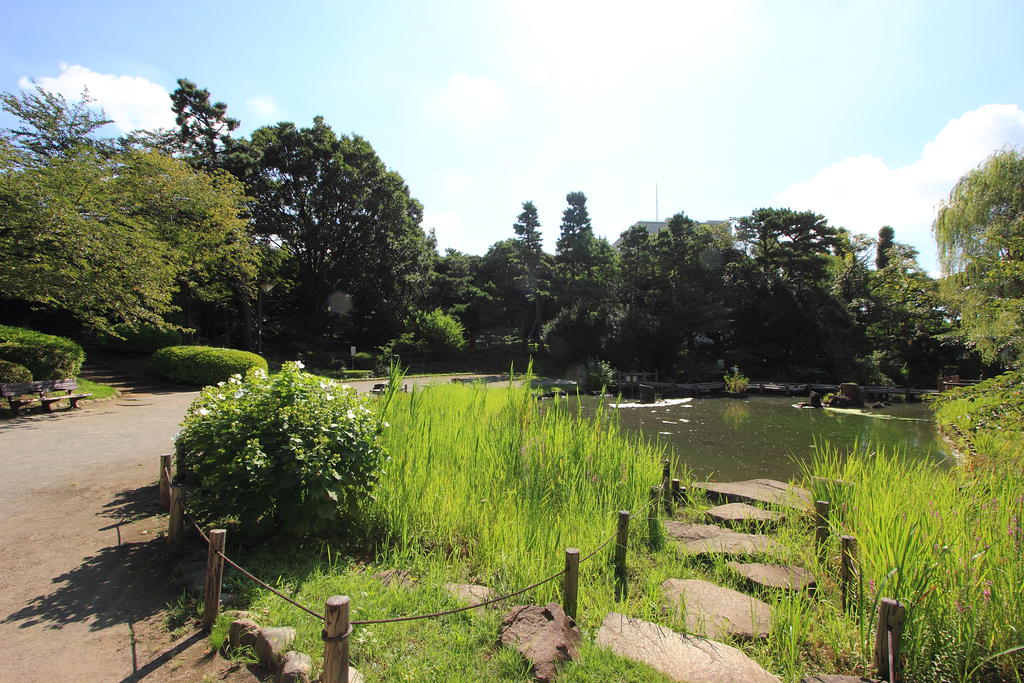 公園　哲学堂公園（公園）まで1097m