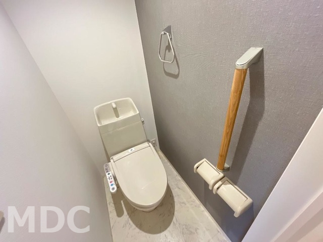 ＪＲ徳島線 鮎喰駅 徒歩28分 2階建 築12年のトイレ写真