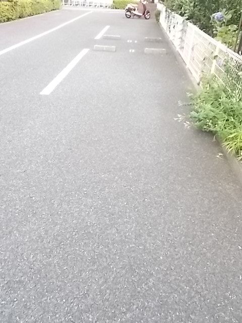 ジョリー柏のその他写真