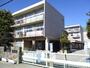 小学校　草加市立花栗南小学校（小学校）まで499m
