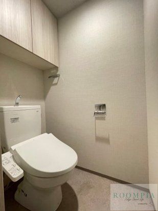 DIPS明大前のトイレ写真