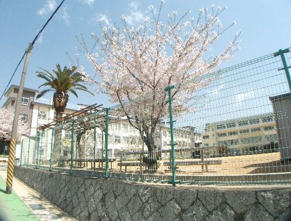 中学校　神戸市立原田中学校（中学校）まで735m