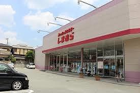 その他　ファッションセンターしまむら田寺店  750m