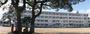 小学校　姫路市立白浜小学校（小学校）まで819m