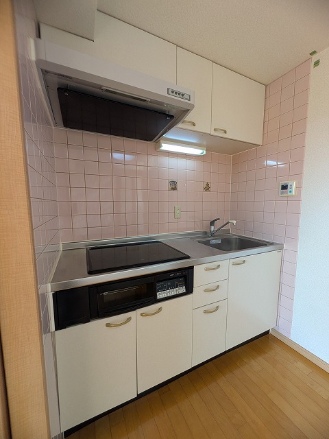 キッチン　同物件、別号室のものです。